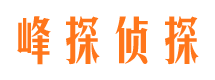 平安市侦探调查公司